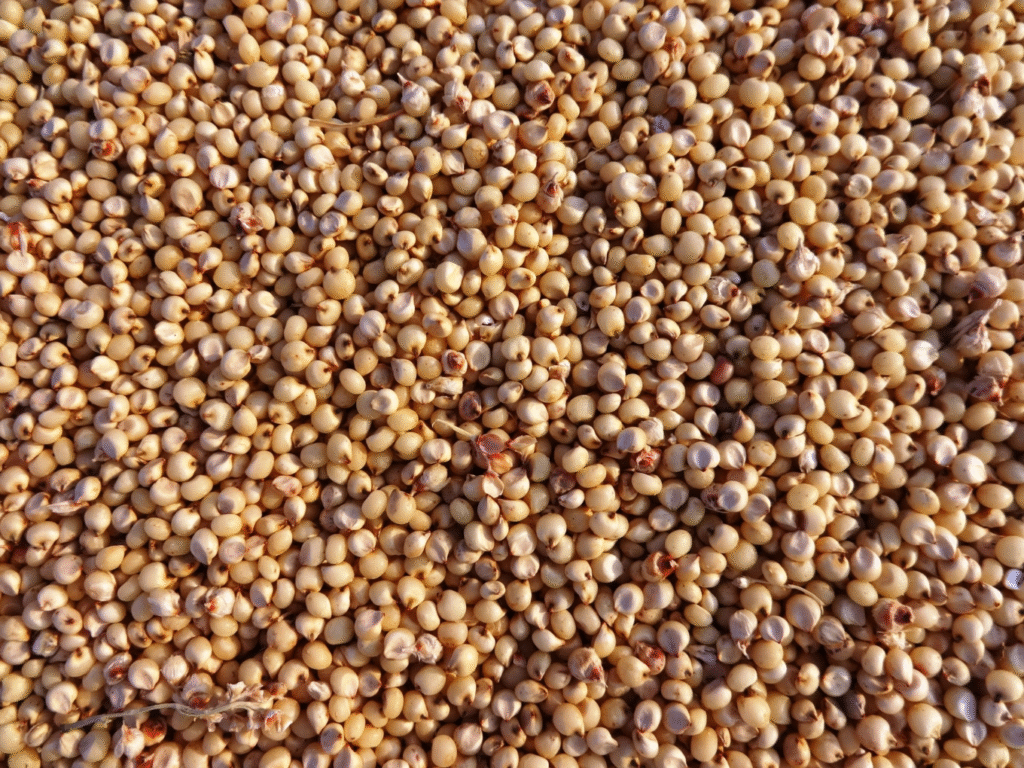 agricultural-commodity-prices-in-nigeria