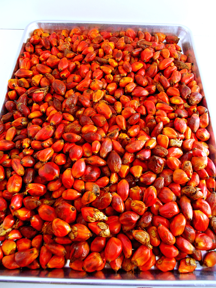 agricultural-commodity-prices-in-nigeria